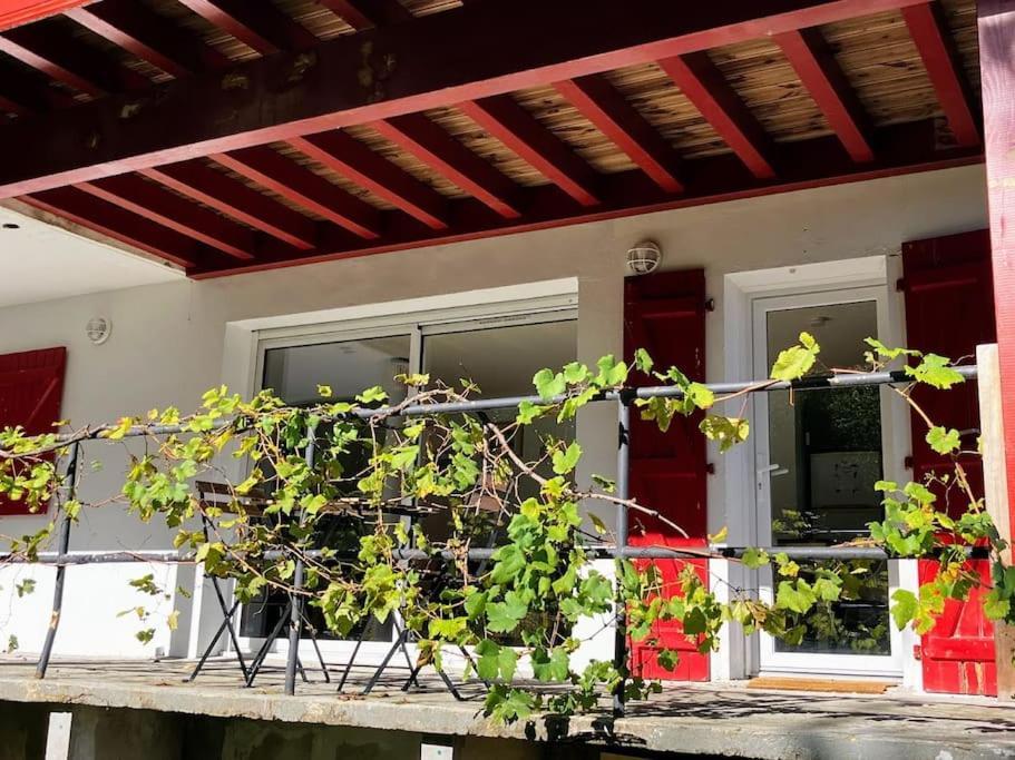 Lagunen Etxea Hendaye Exteriör bild
